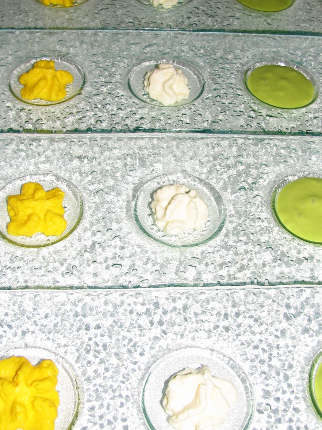 PHOTOS ESSAI 005.jpg