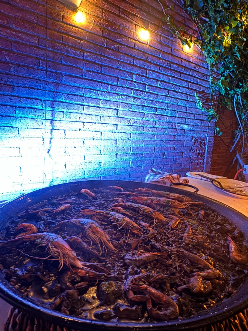 IMG_3568.jpeg IMG_3568.jpeg