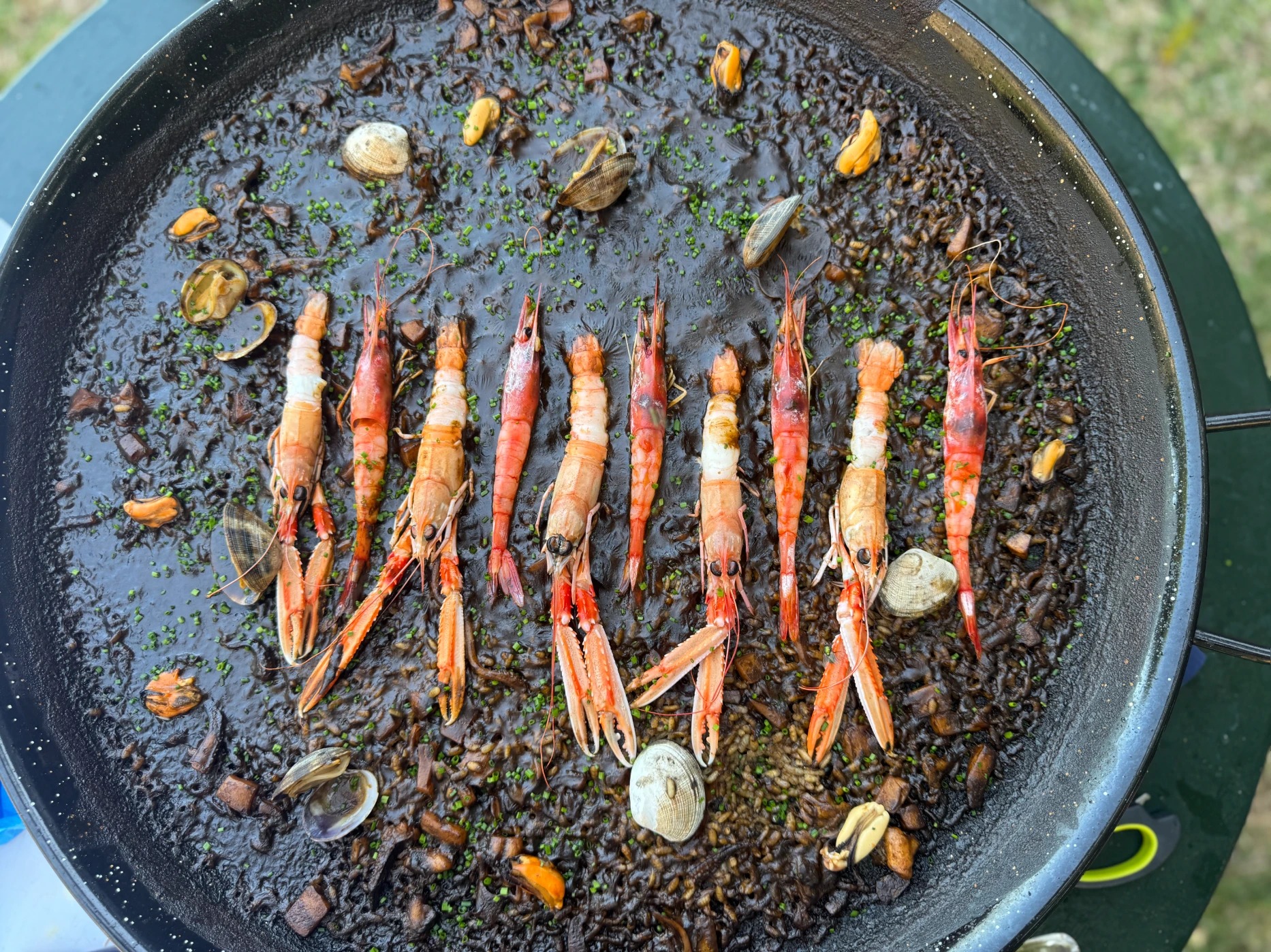 IMG_1622.jpeg IMG_1622.jpeg