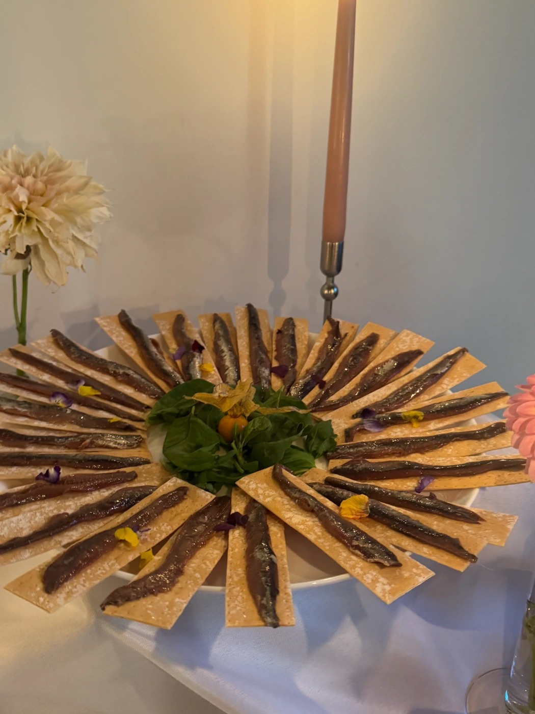 IMG_3556.JPG IMG_3556.JPG