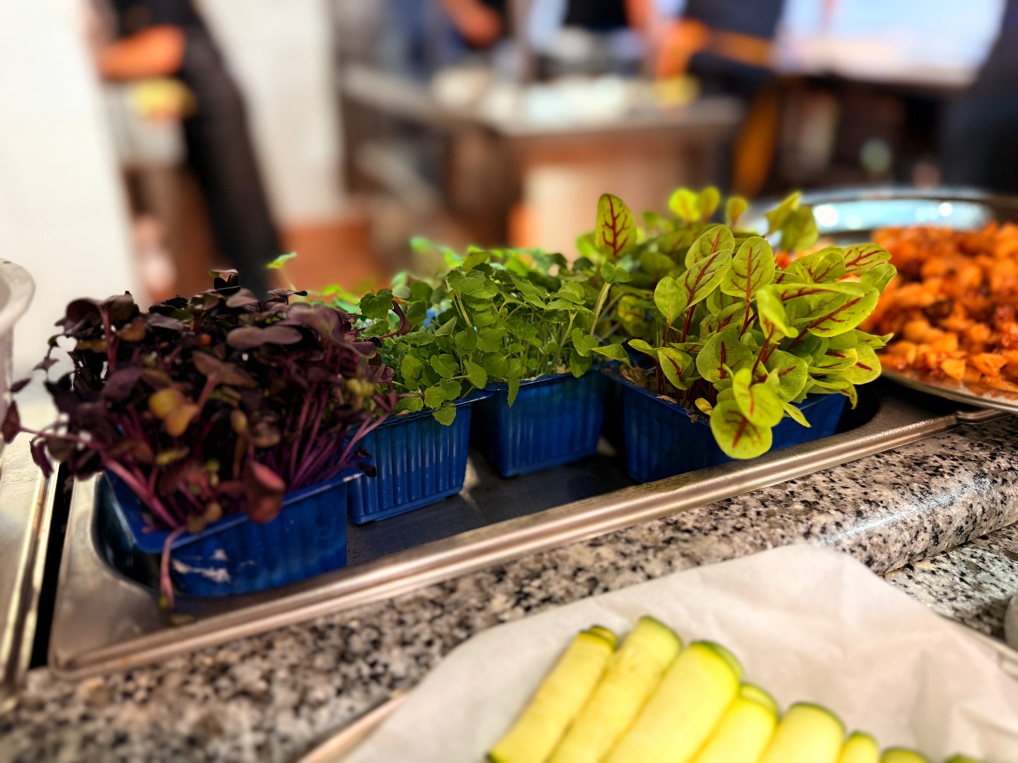 Plant Based · Raíces & Selva