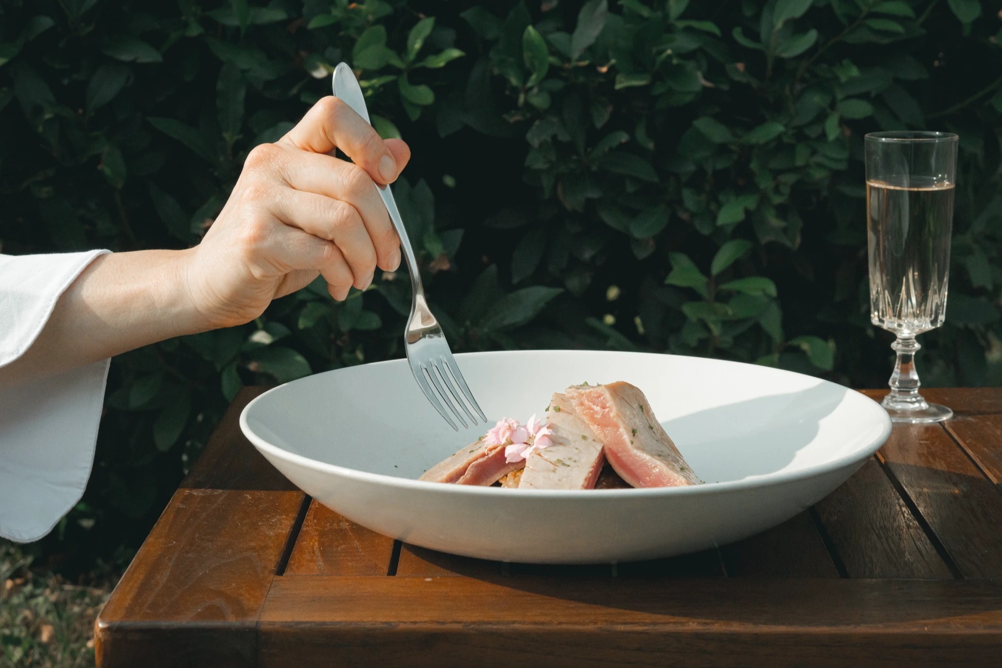 539182827_10235006624939107_2211771515504368973_n.jpg 539182827_10235006624939107_2211771515504368973_n.jpg