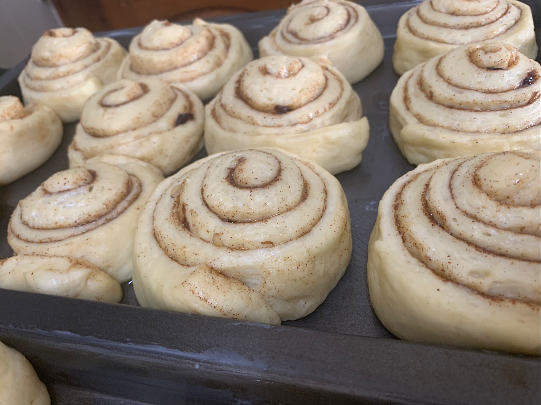 IMG_0338.jpeg IMG_0338.jpeg