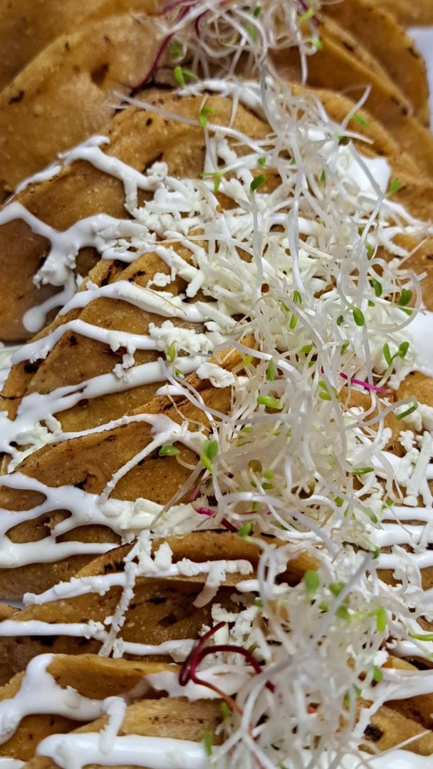 Yucatecan Delights