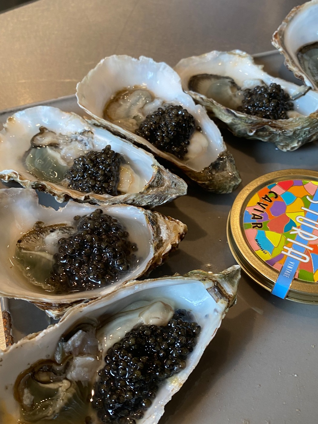 IMG_0248.jpeg IMG_0248.jpeg