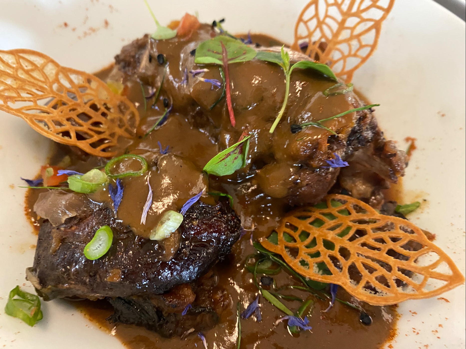 IMG_5095.jpeg IMG_5095.jpeg