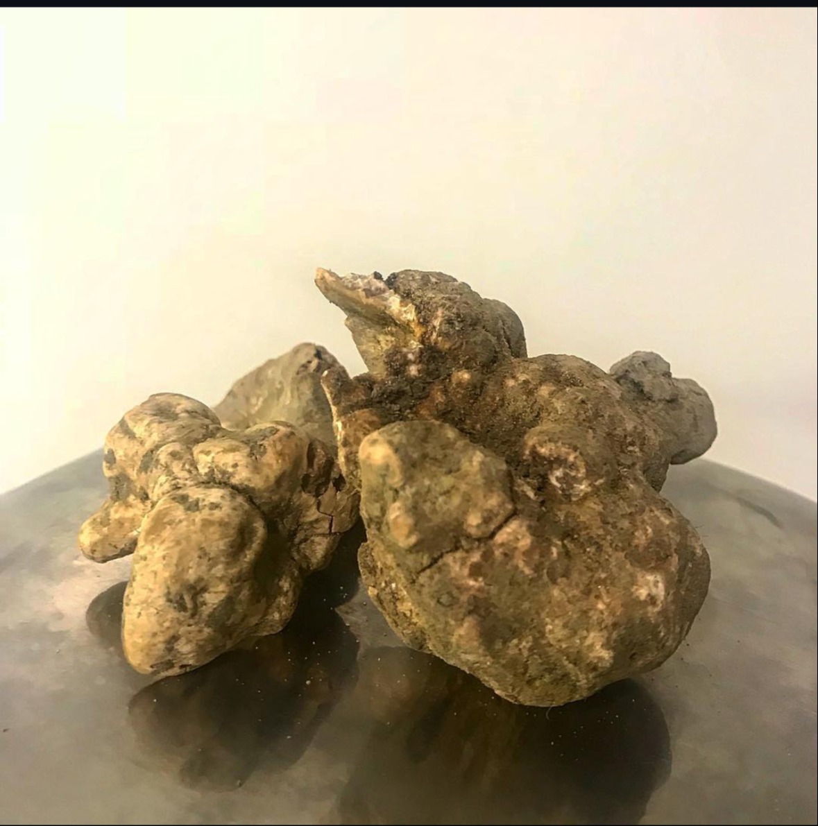 IMG_0194.jpeg IMG_0194.jpeg