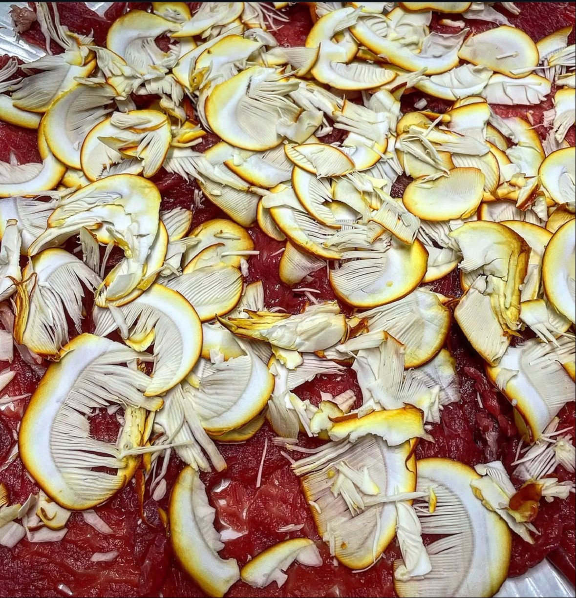 IMG_0190.jpeg IMG_0190.jpeg