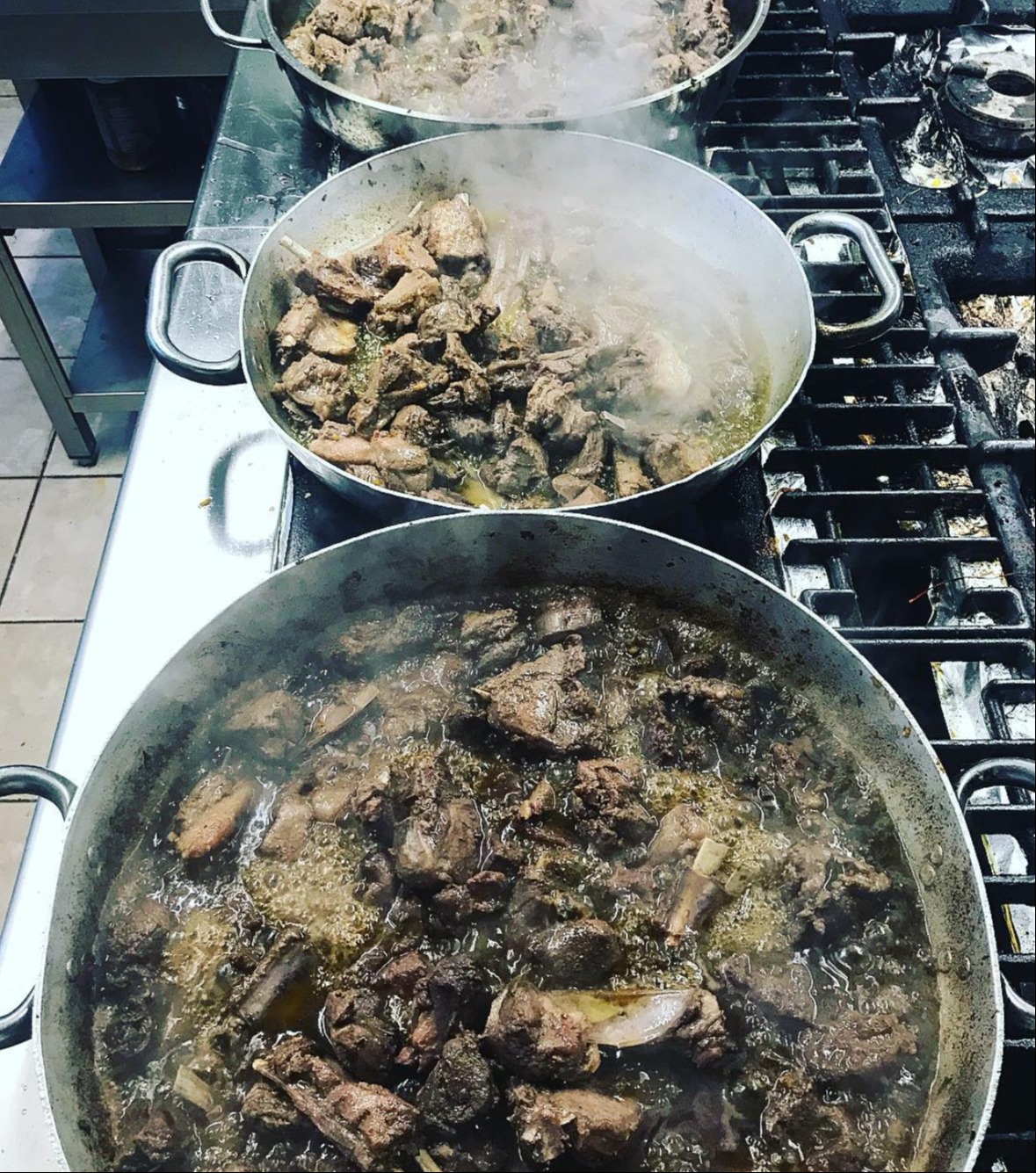 IMG_0202.jpeg IMG_0202.jpeg