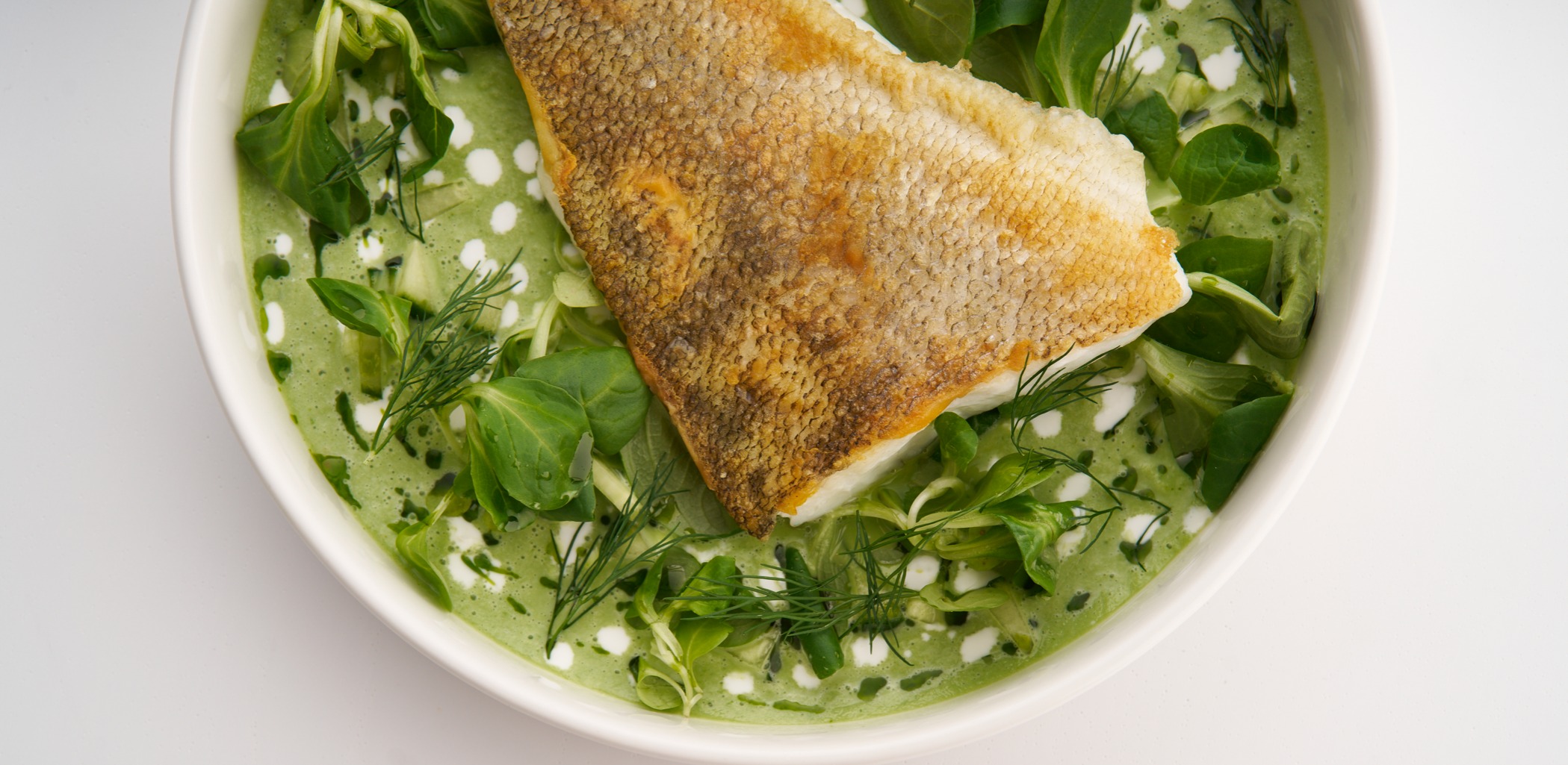 RYBA BOOK CO1429.jpg