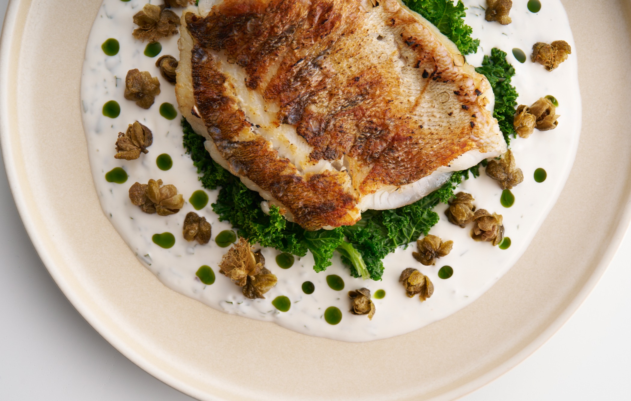 RYBA BOOK CO0057.jpg