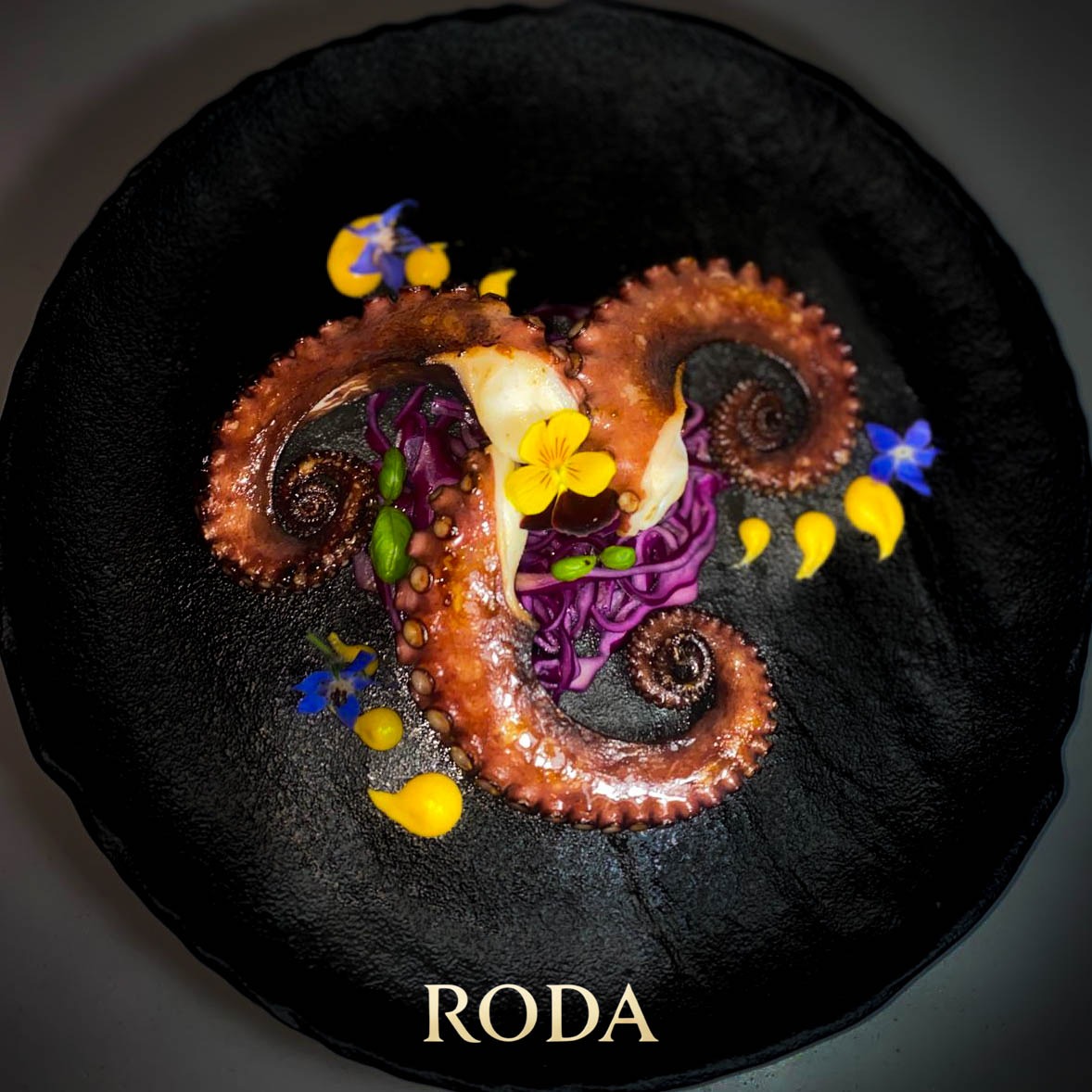 PHOTO-2025-03-24-15-57-58 3.jpg