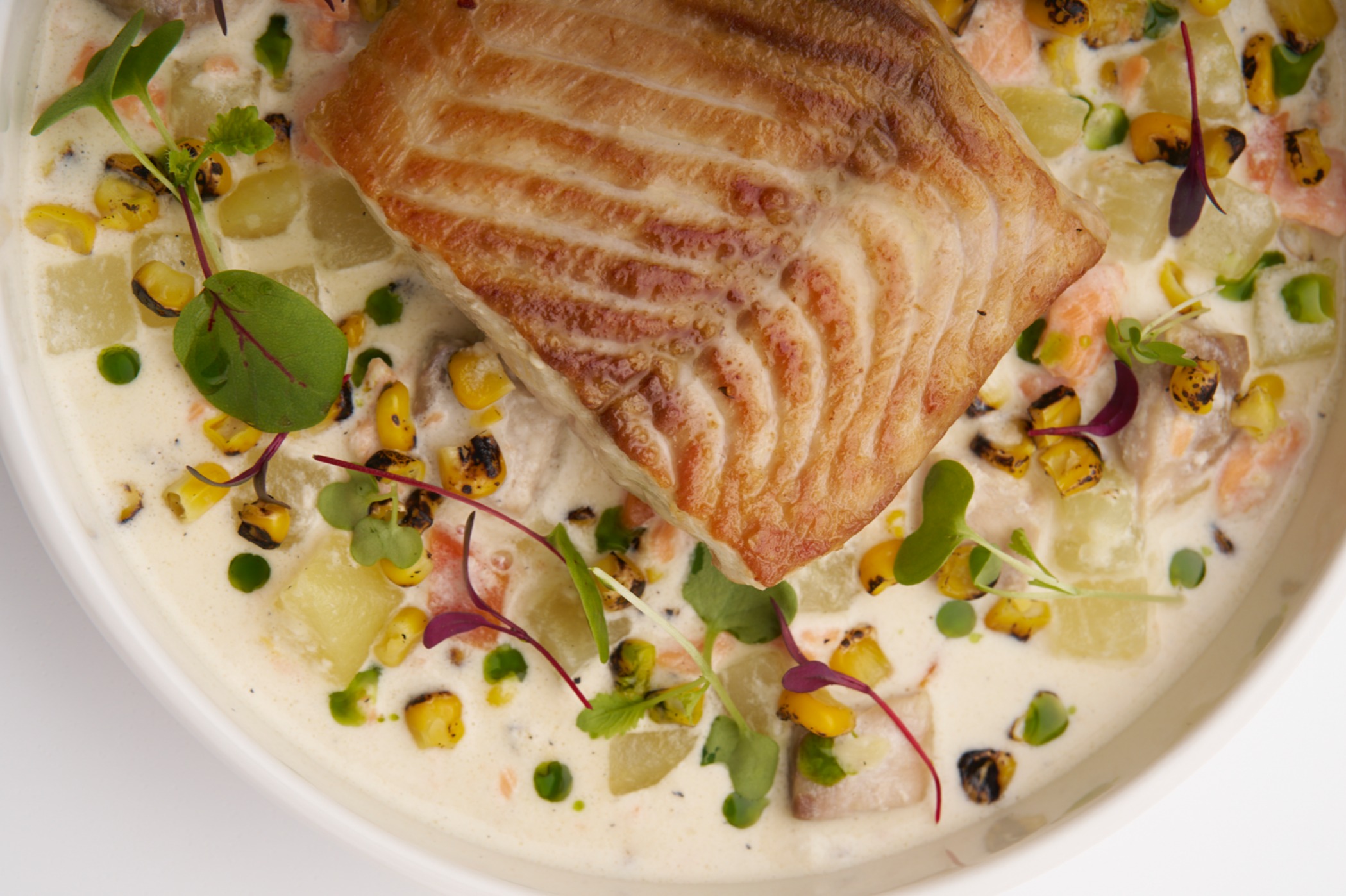 RYBA BOOK CO0101.jpg