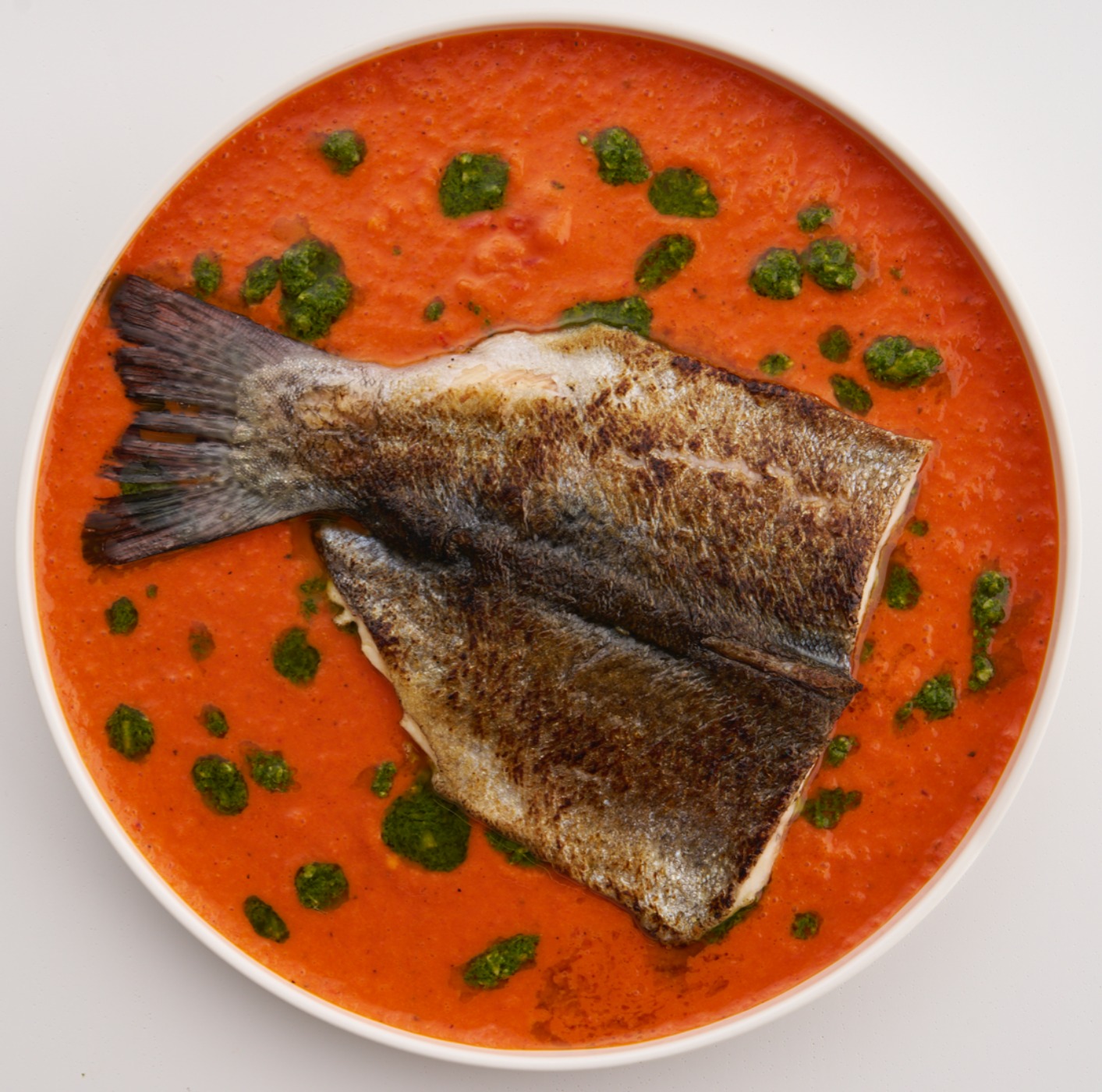 RYBA BOOK CO1366.jpg