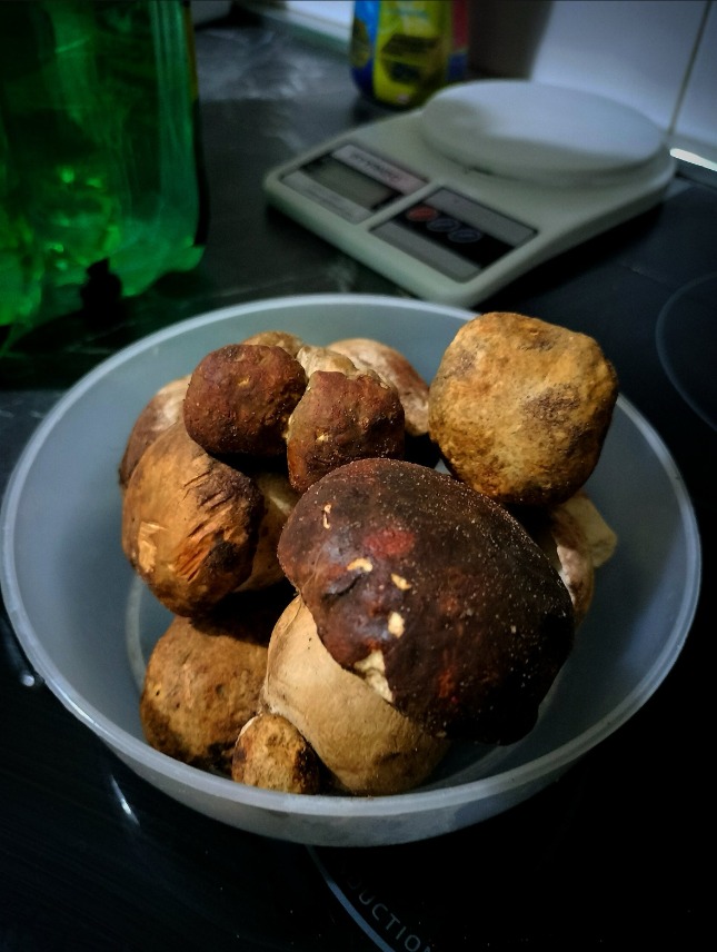 IMG_2053.png IMG_2053.png