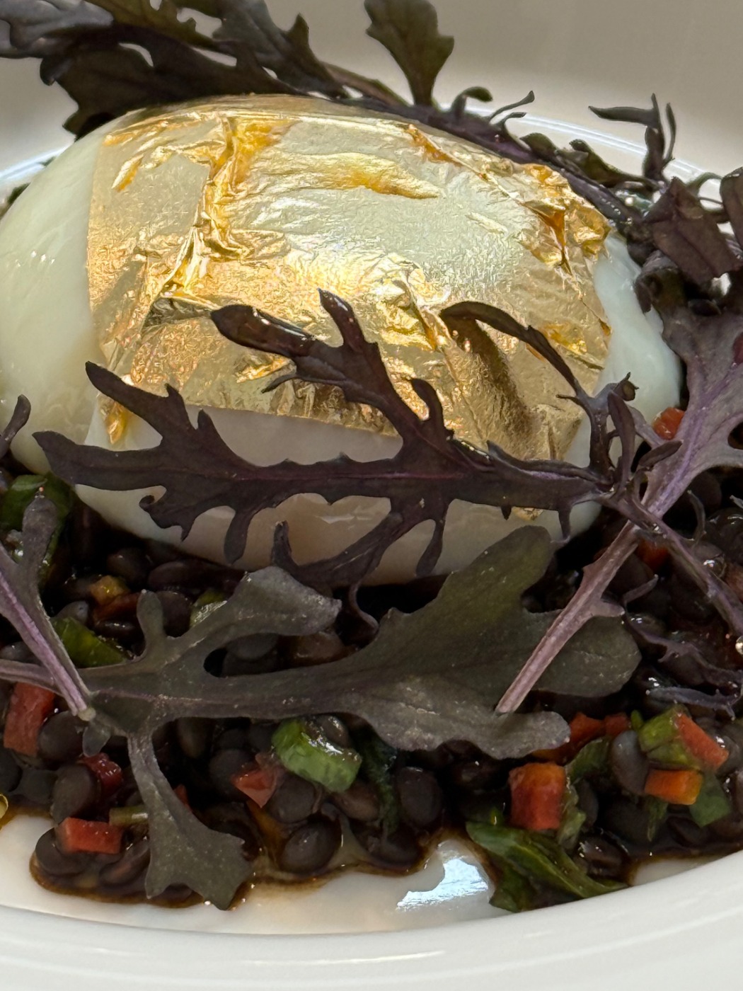 IMG_1696.jpeg IMG_1696.jpeg