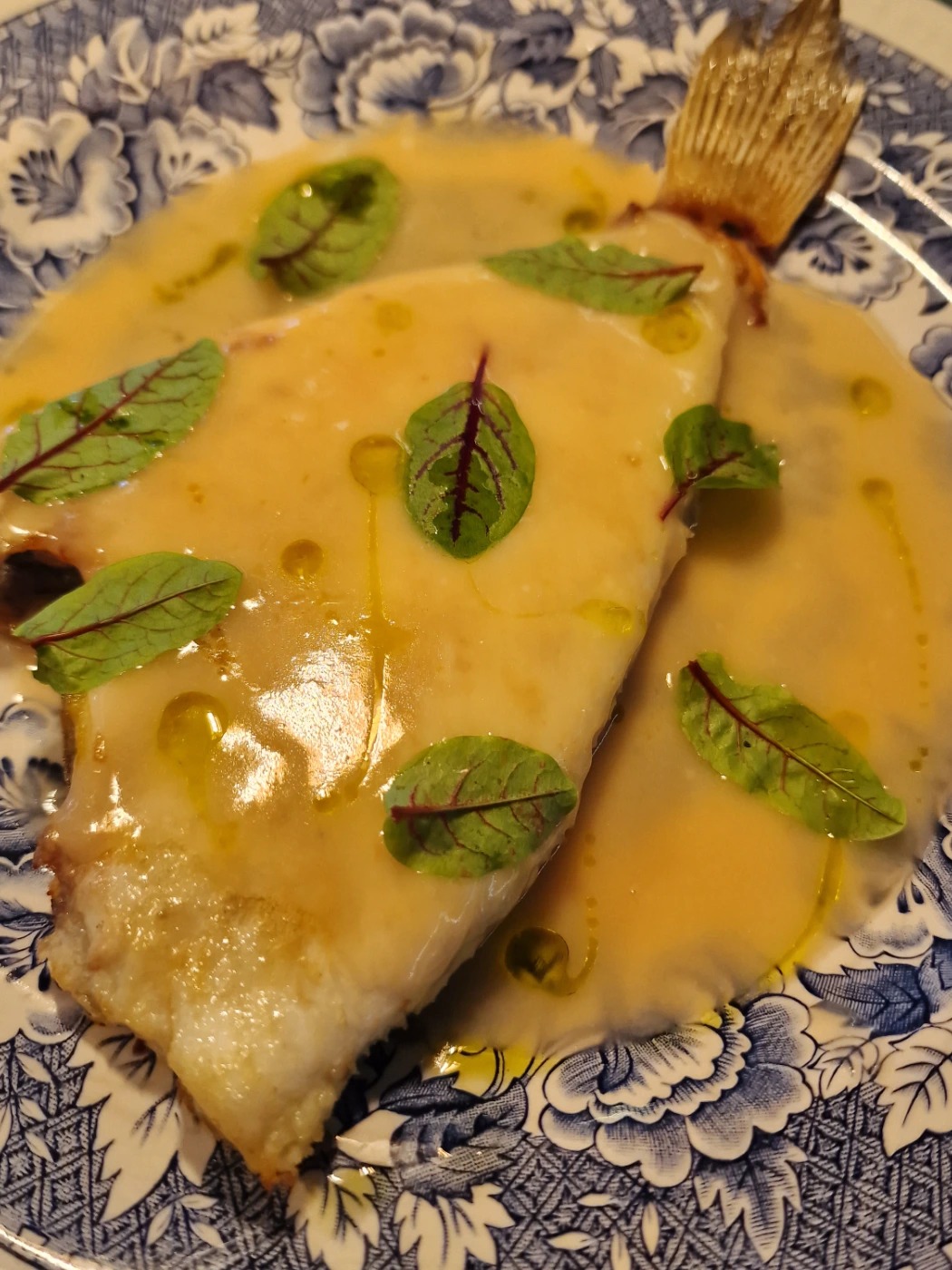 20251006_140657.jpg 20251006_140657.jpg