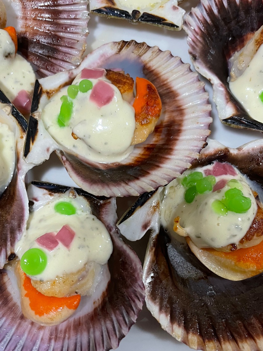 IMG_5424.jpeg IMG_5424.jpeg