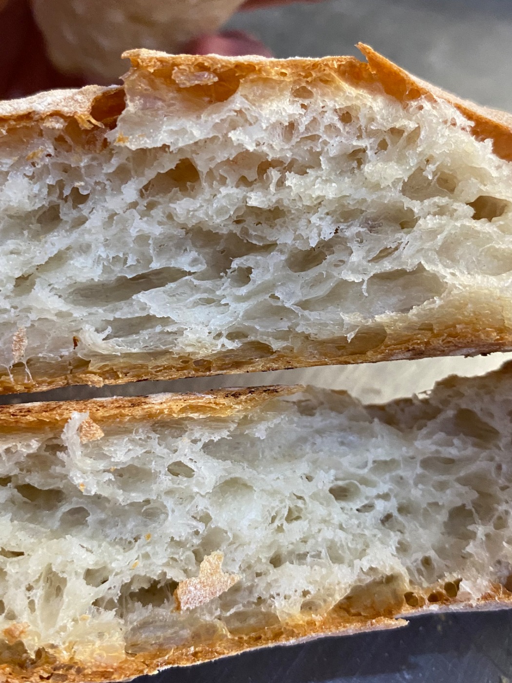 IMG_9857.jpeg IMG_9857.jpeg