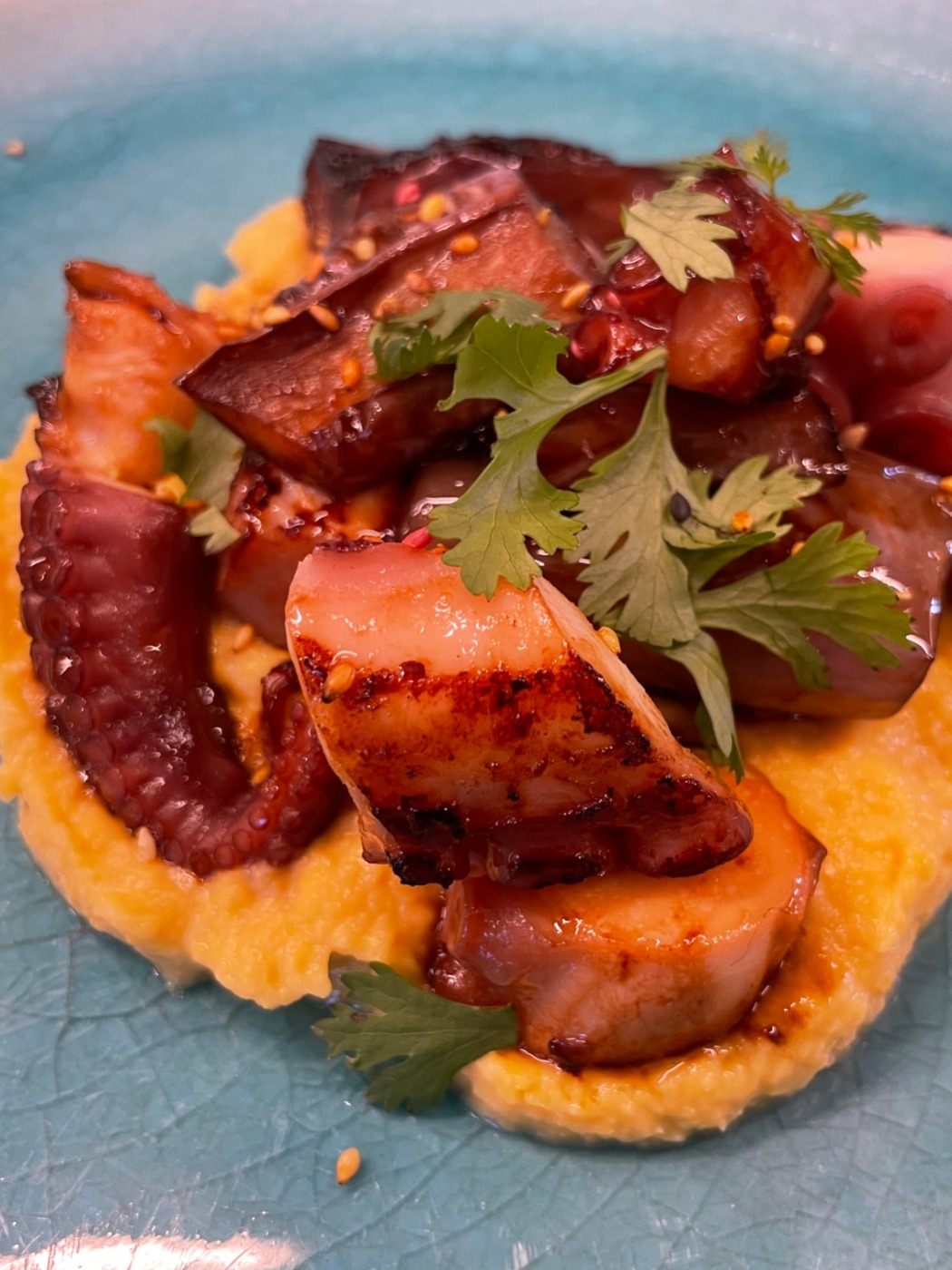 IMG_2235.jpeg IMG_2235.jpeg