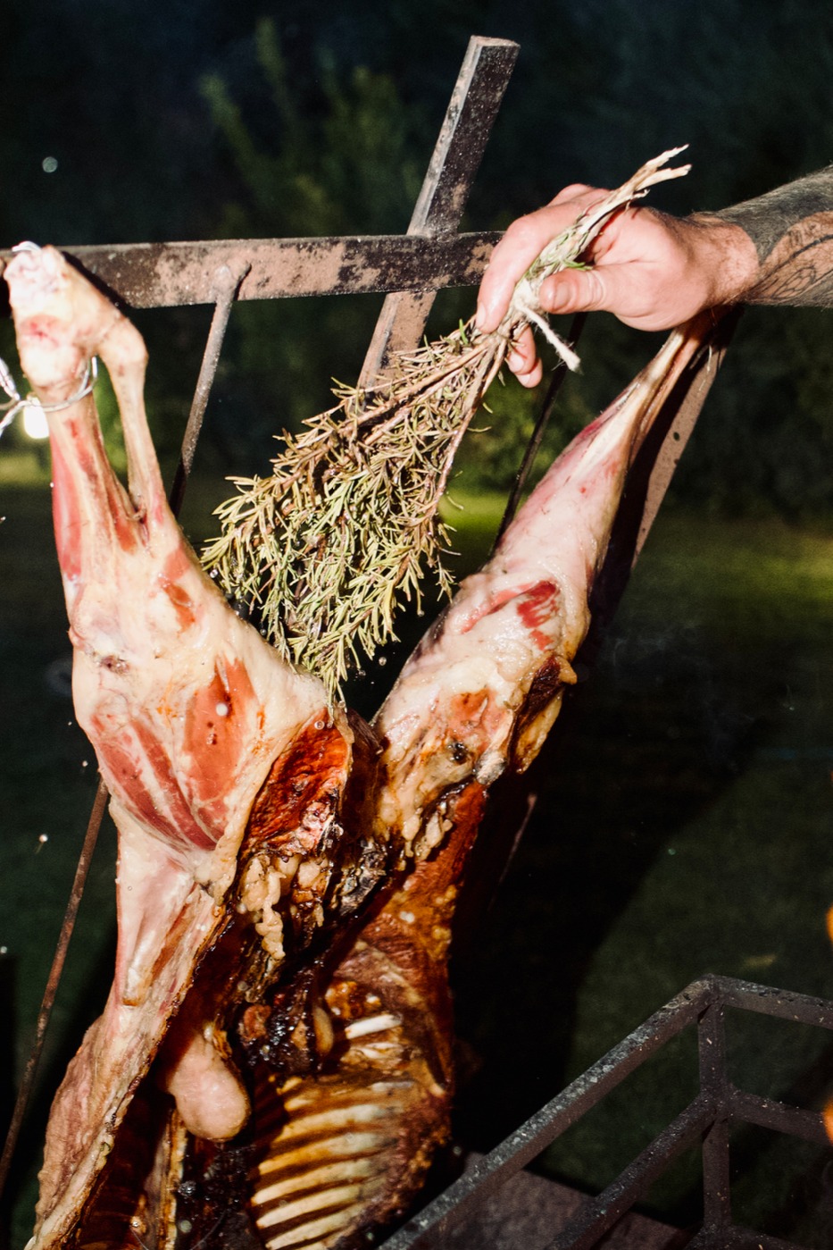 20240929-183451759.jpeg 20240929-183451759.jpeg