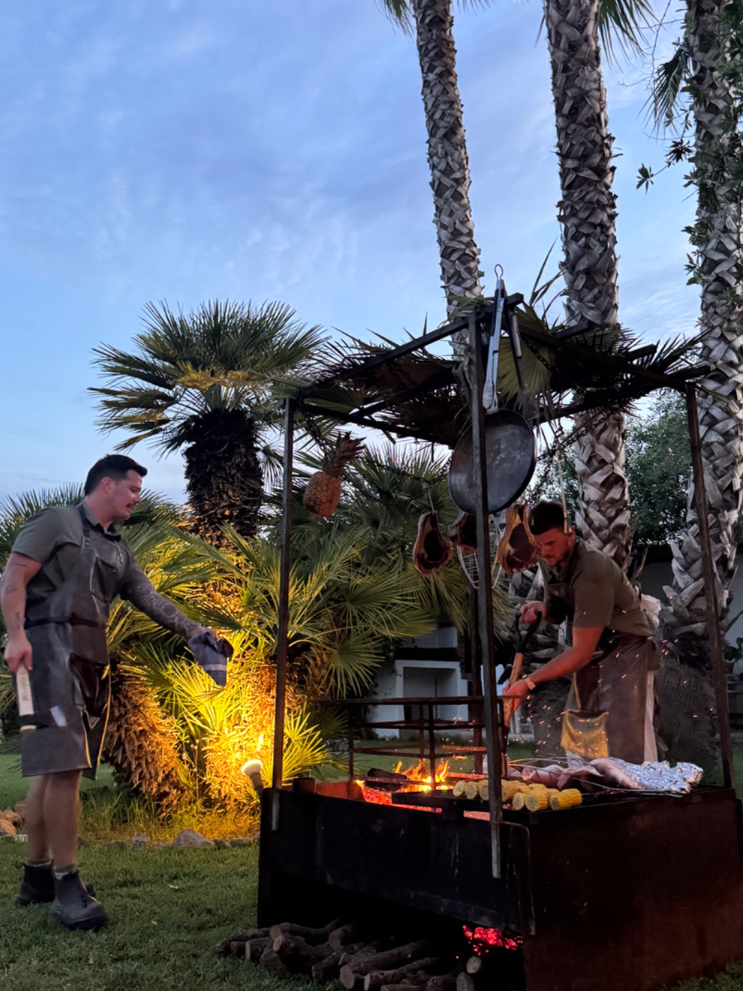 IMG_4220.jpeg IMG_4220.jpeg