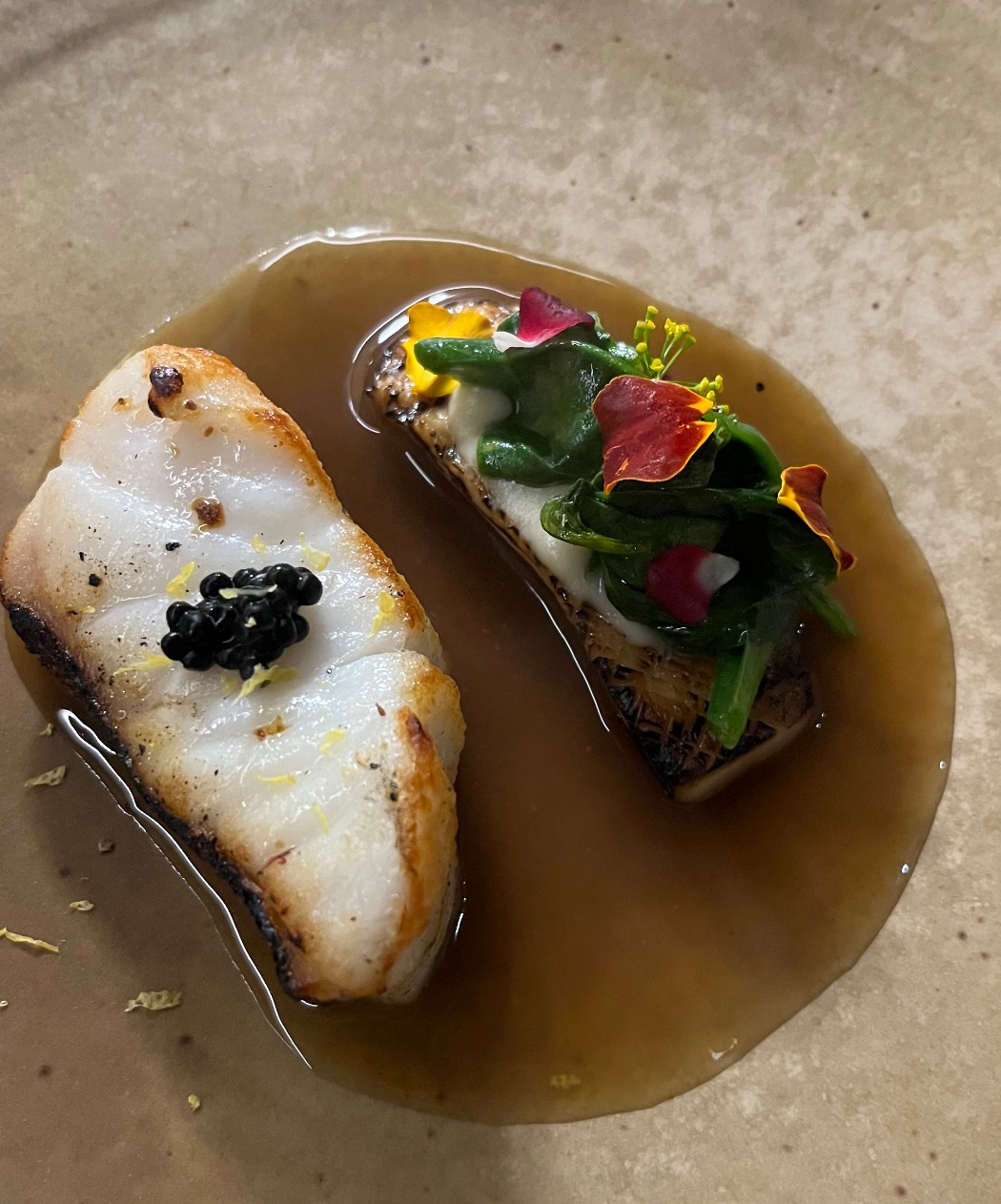 IMG_7076.jpeg IMG_7076.jpeg