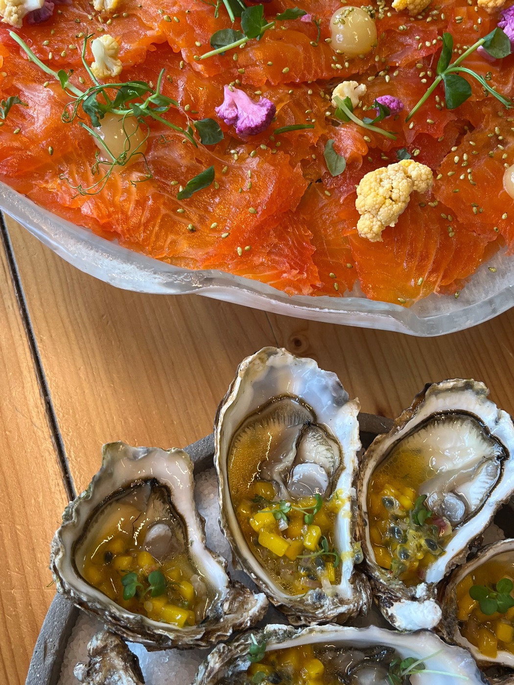 IMG_7923.jpeg IMG_7923.jpeg