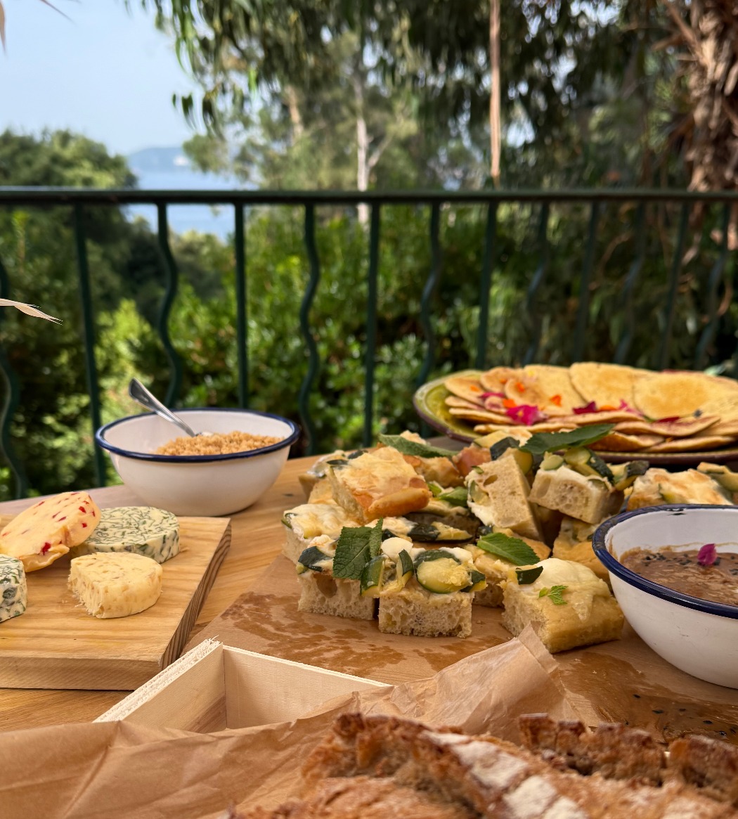 IMG_8795.jpeg IMG_8795.jpeg