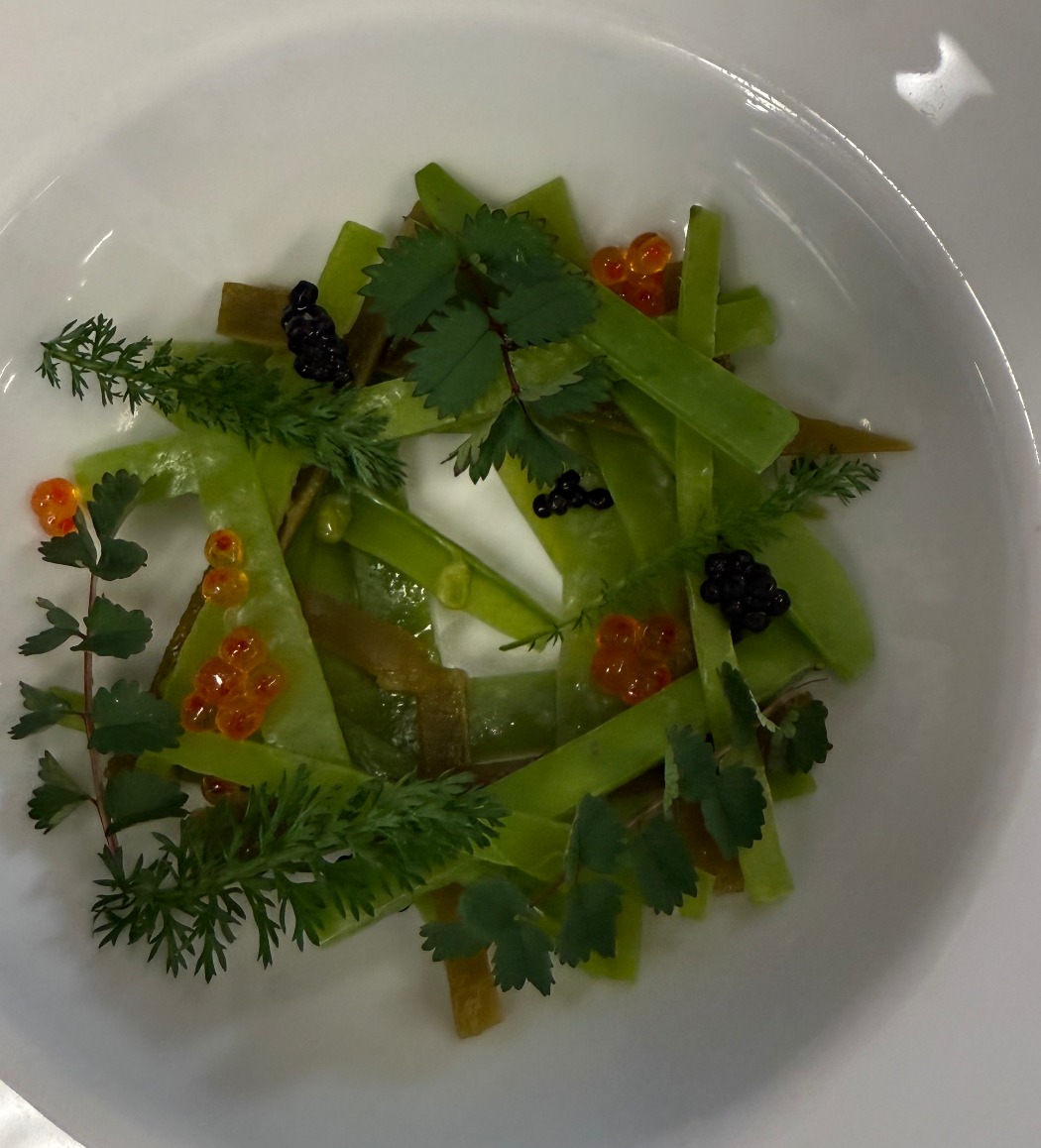 IMG_6579.jpeg IMG_6579.jpeg