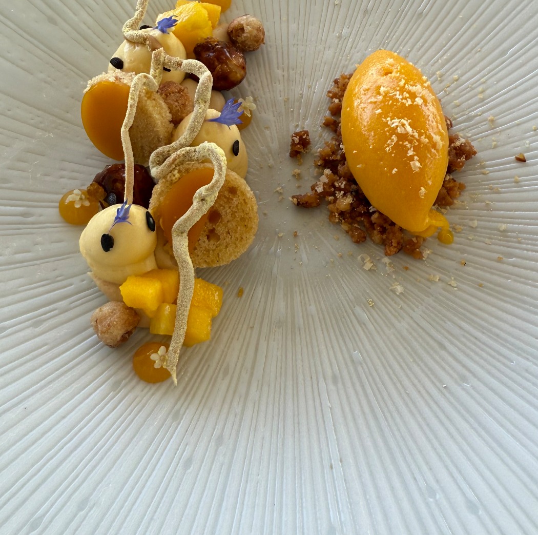 IMG_2536.jpeg IMG_2536.jpeg