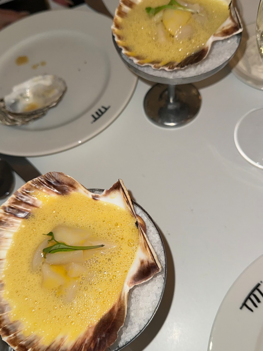 IMG_0628.jpeg IMG_0628.jpeg