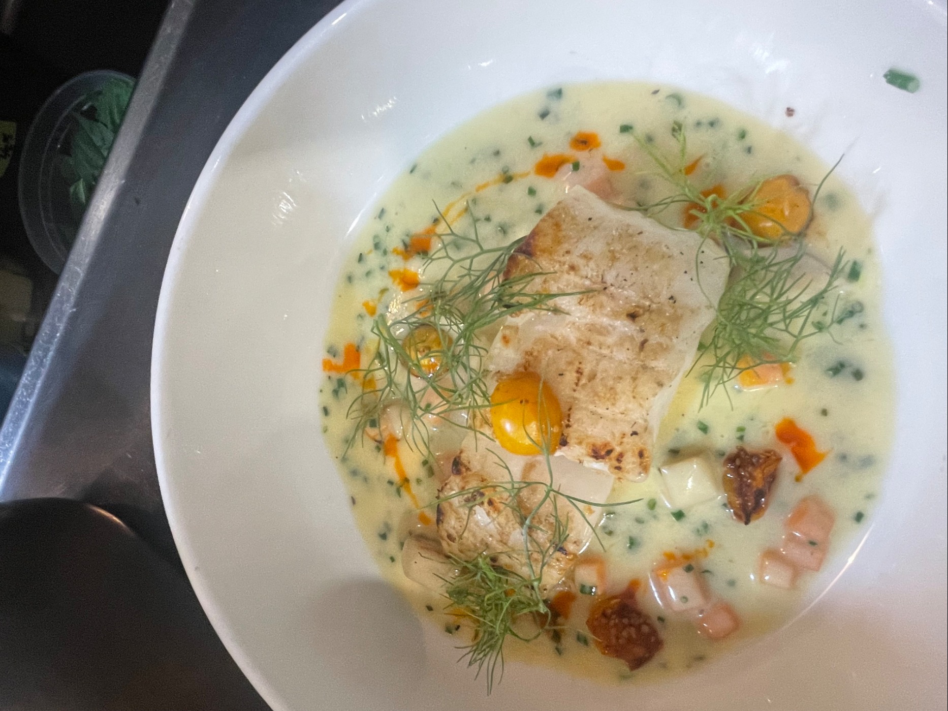 IMG_3758.jpeg IMG_3758.jpeg