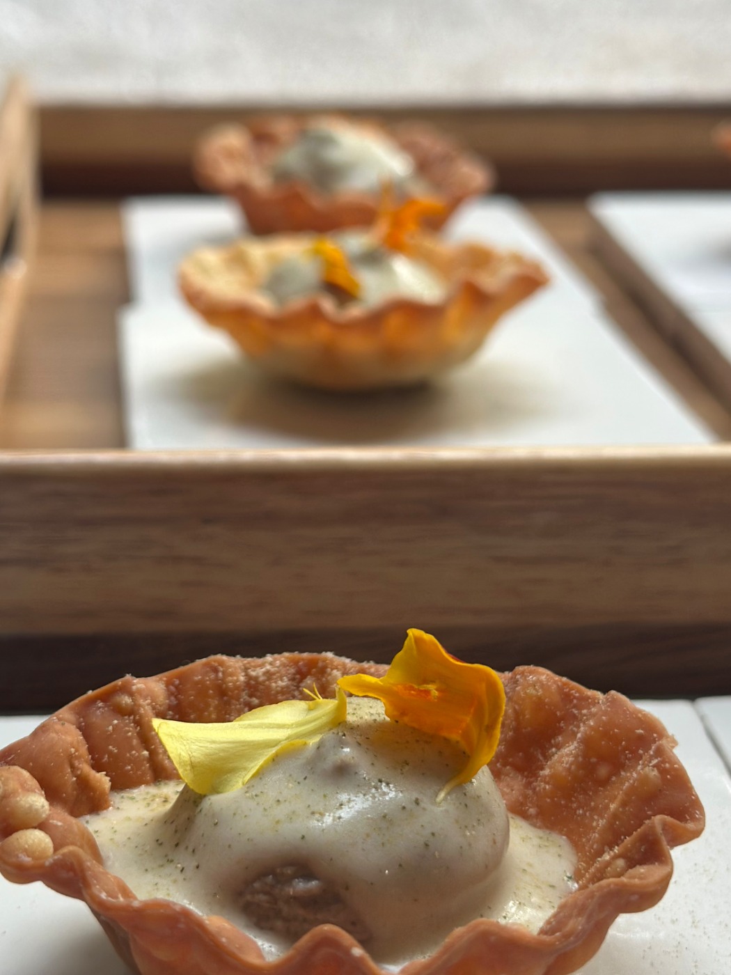 IMG_0538.jpeg IMG_0538.jpeg