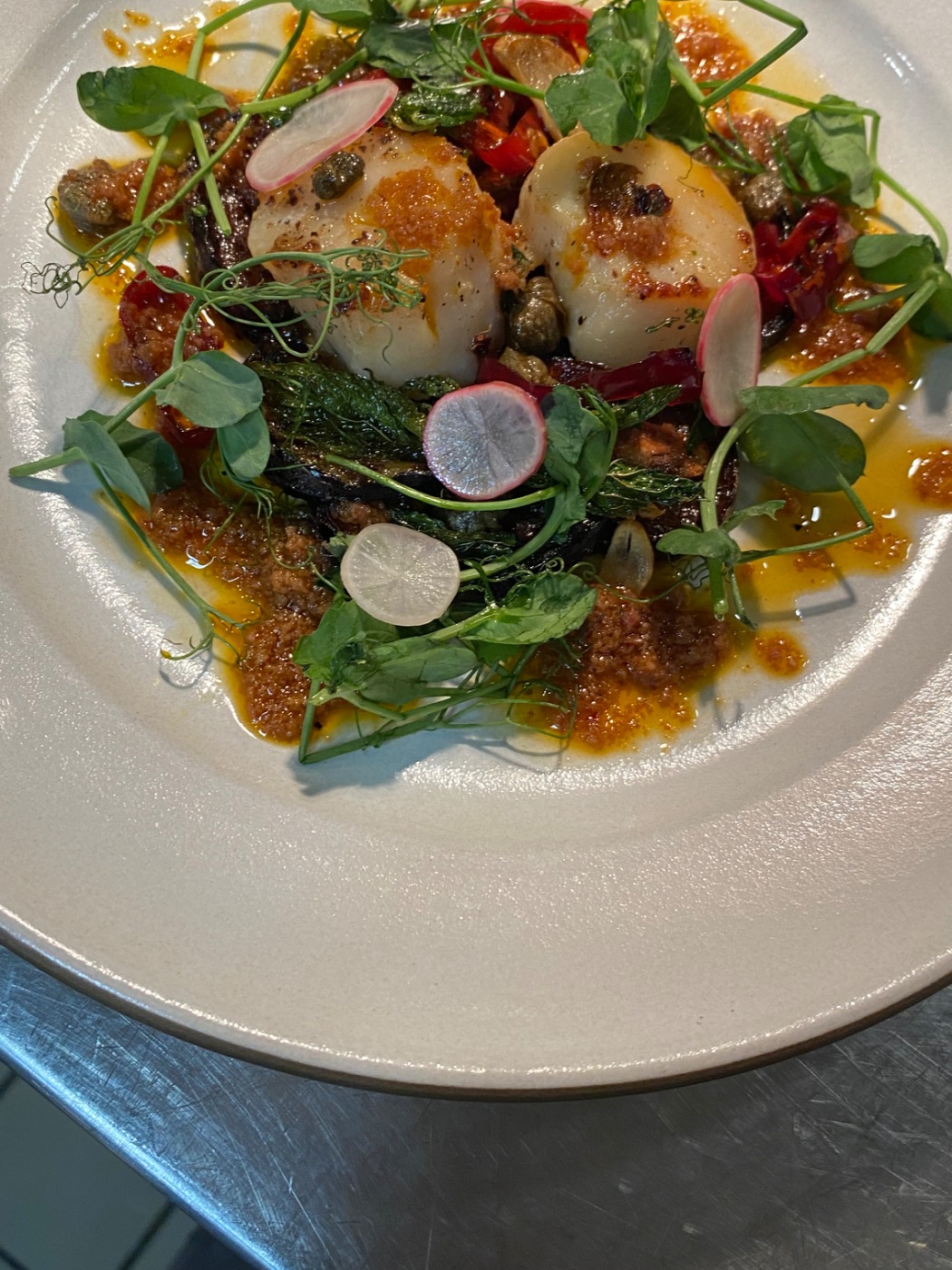 IMG_0669.jpeg IMG_0669.jpeg