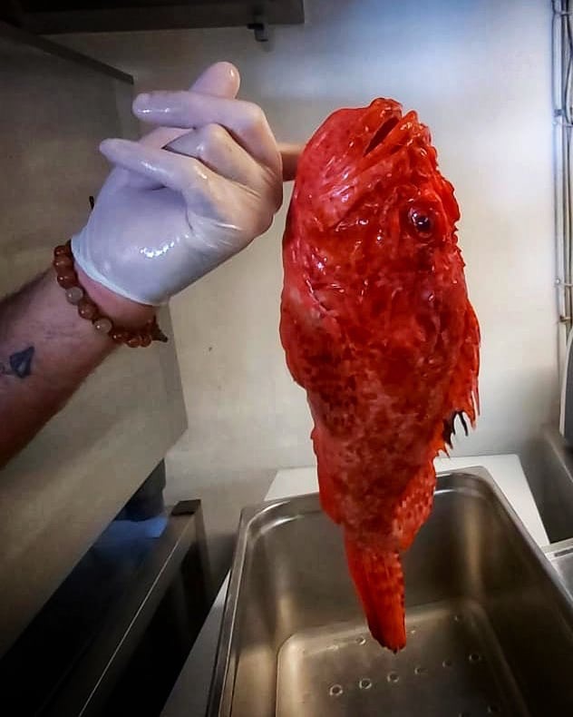 instasave(12).jpeg instasave(12).jpeg