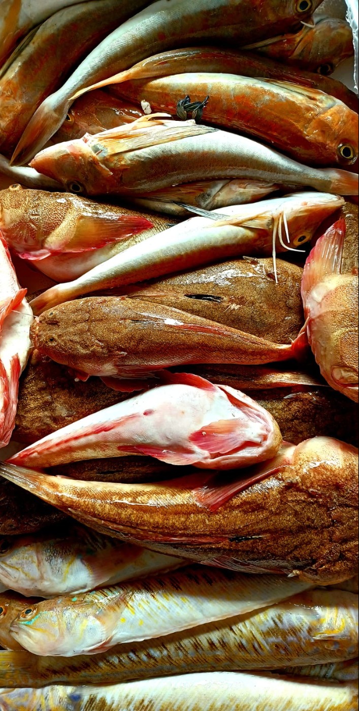 7dd5cd1c-6d7e-49d5-92bf-91f3af737815.jpeg 7dd5cd1c-6d7e-49d5-92bf-91f3af737815.jpeg