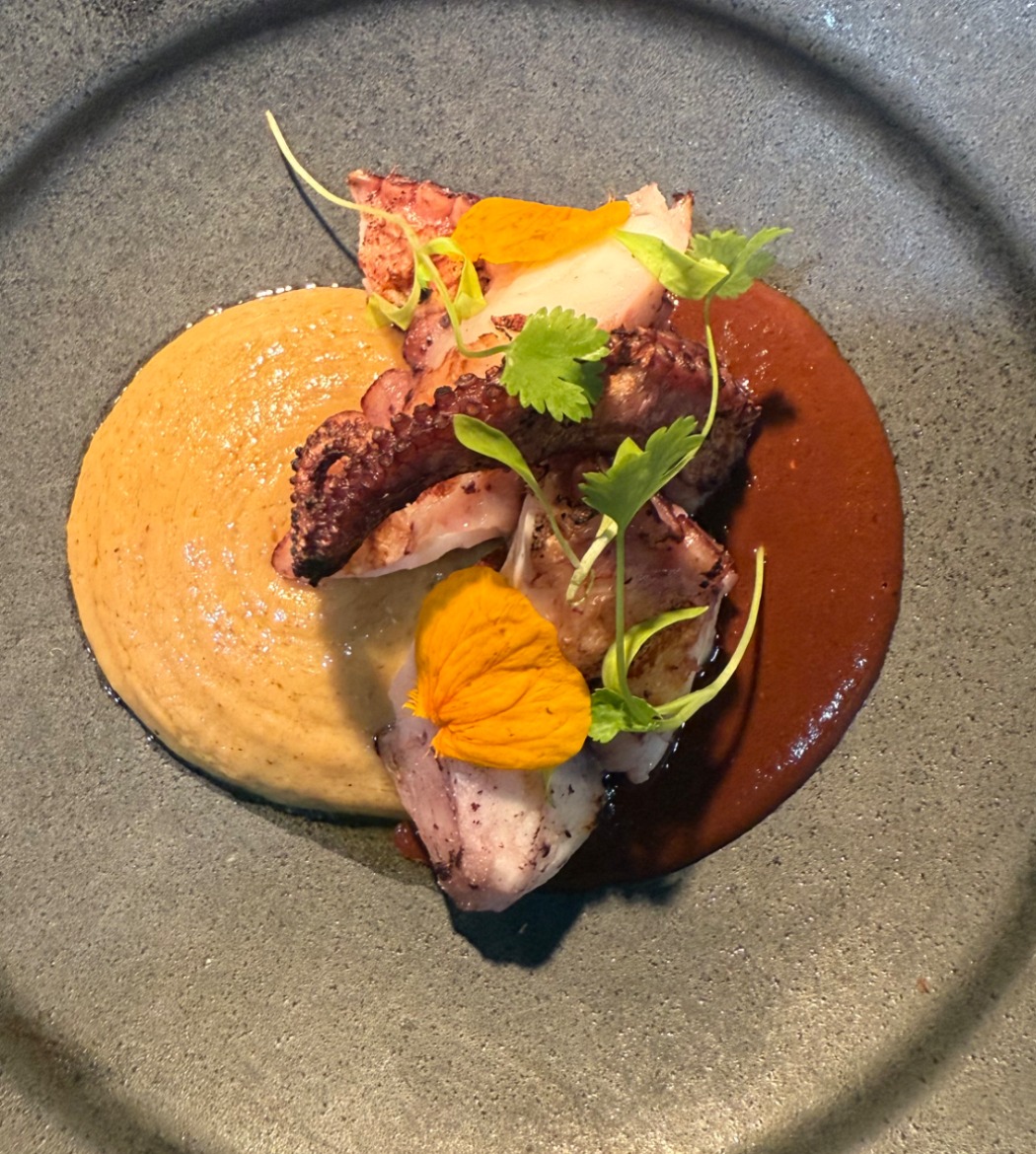 IMG_0924.jpeg IMG_0924.jpeg