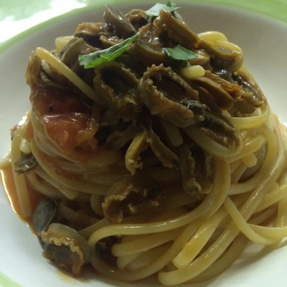 1000044266.jpg 1000044266.jpg