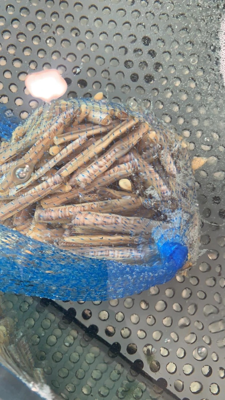 1000044261.jpg 1000044261.jpg