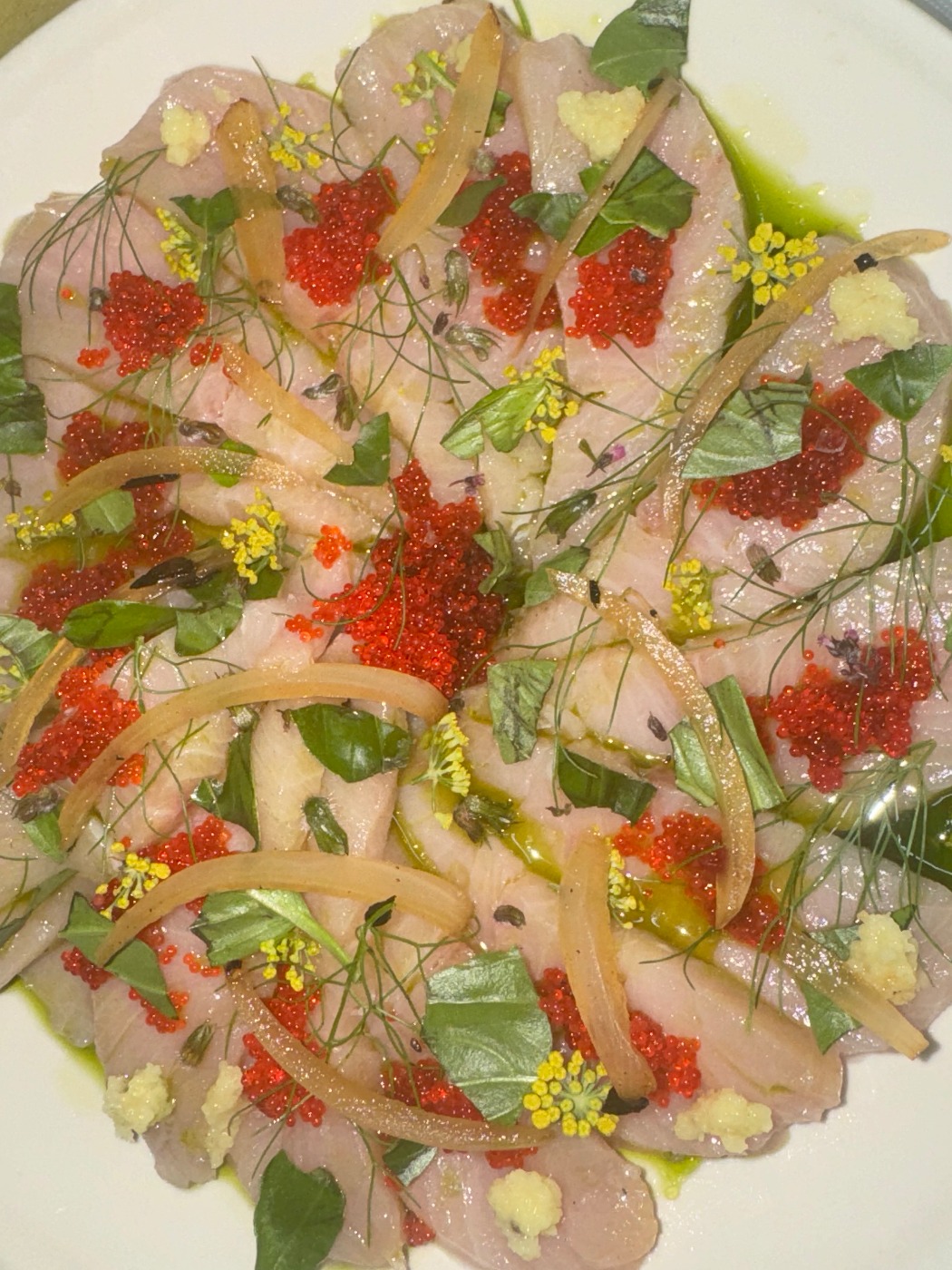 IMG_2064.jpeg IMG_2064.jpeg