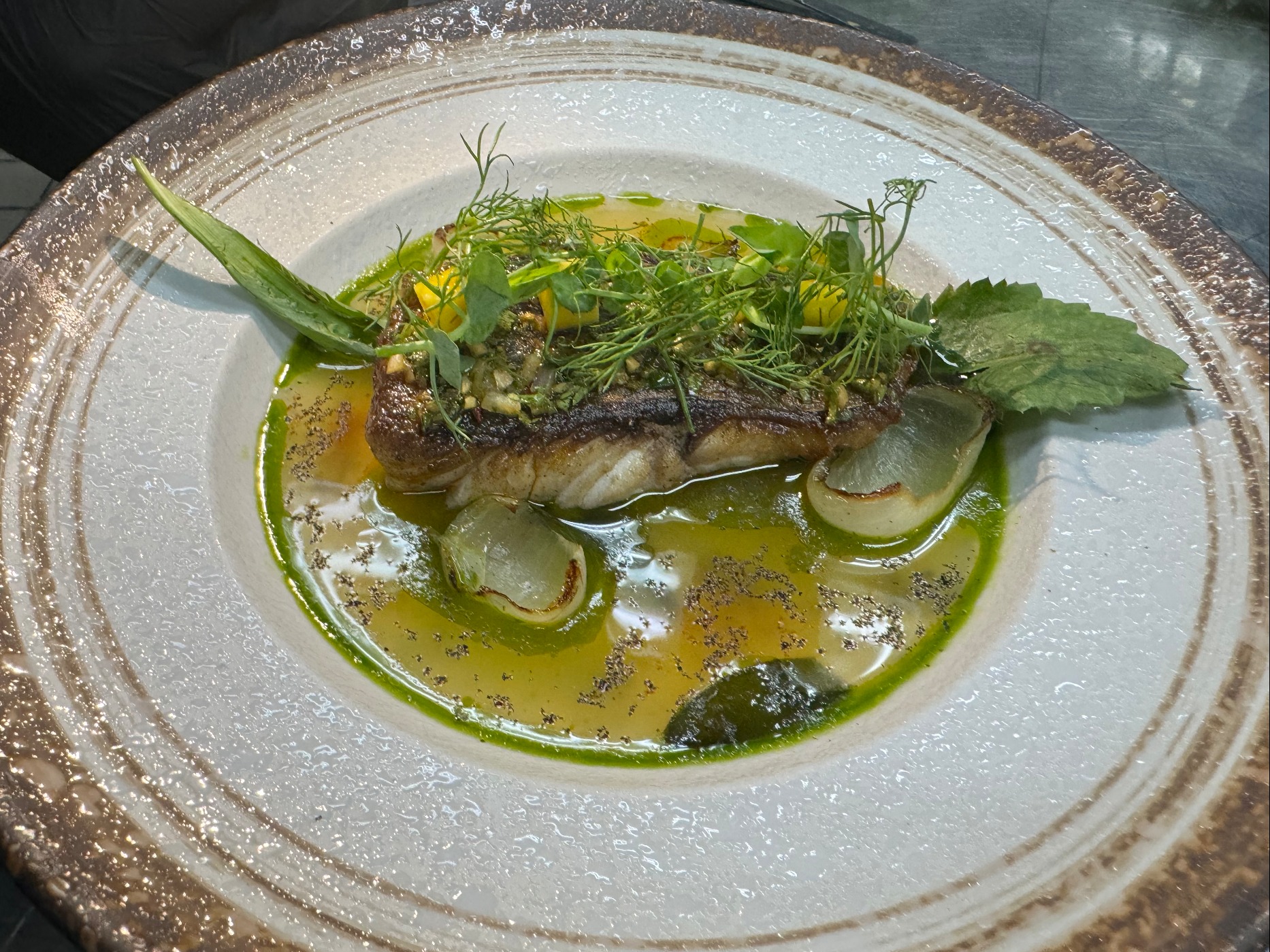 IMG_0839.jpeg IMG_0839.jpeg