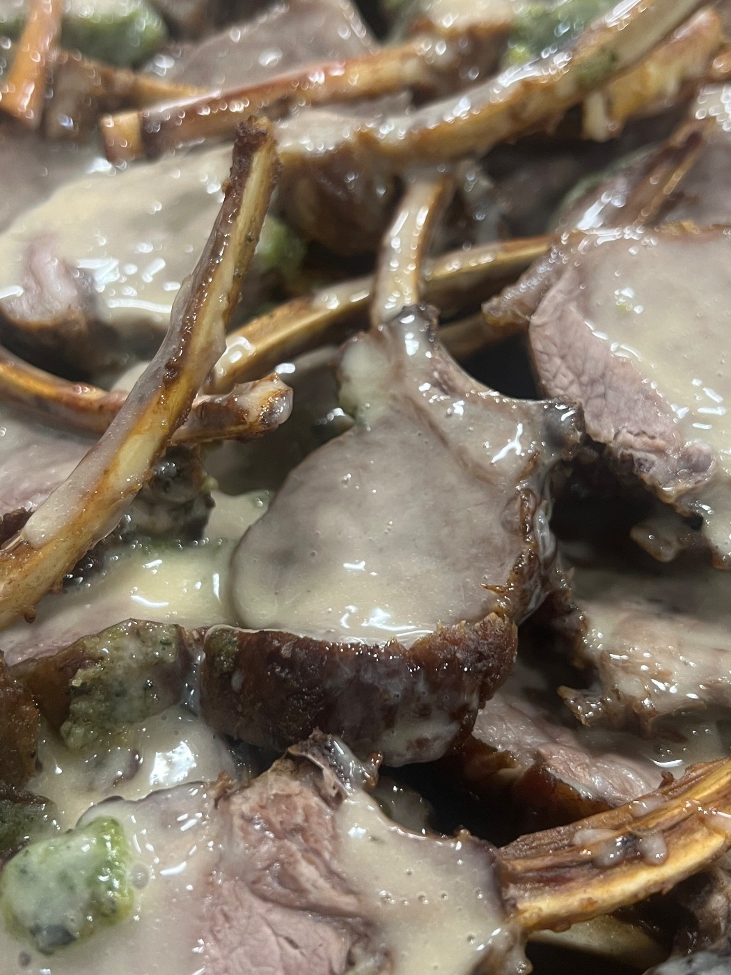 IMG_4719.jpeg IMG_4719.jpeg