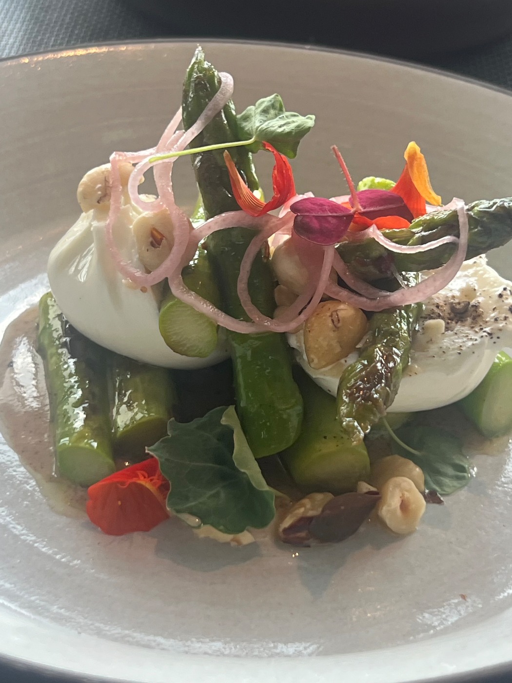 IMG_3389.jpeg IMG_3389.jpeg