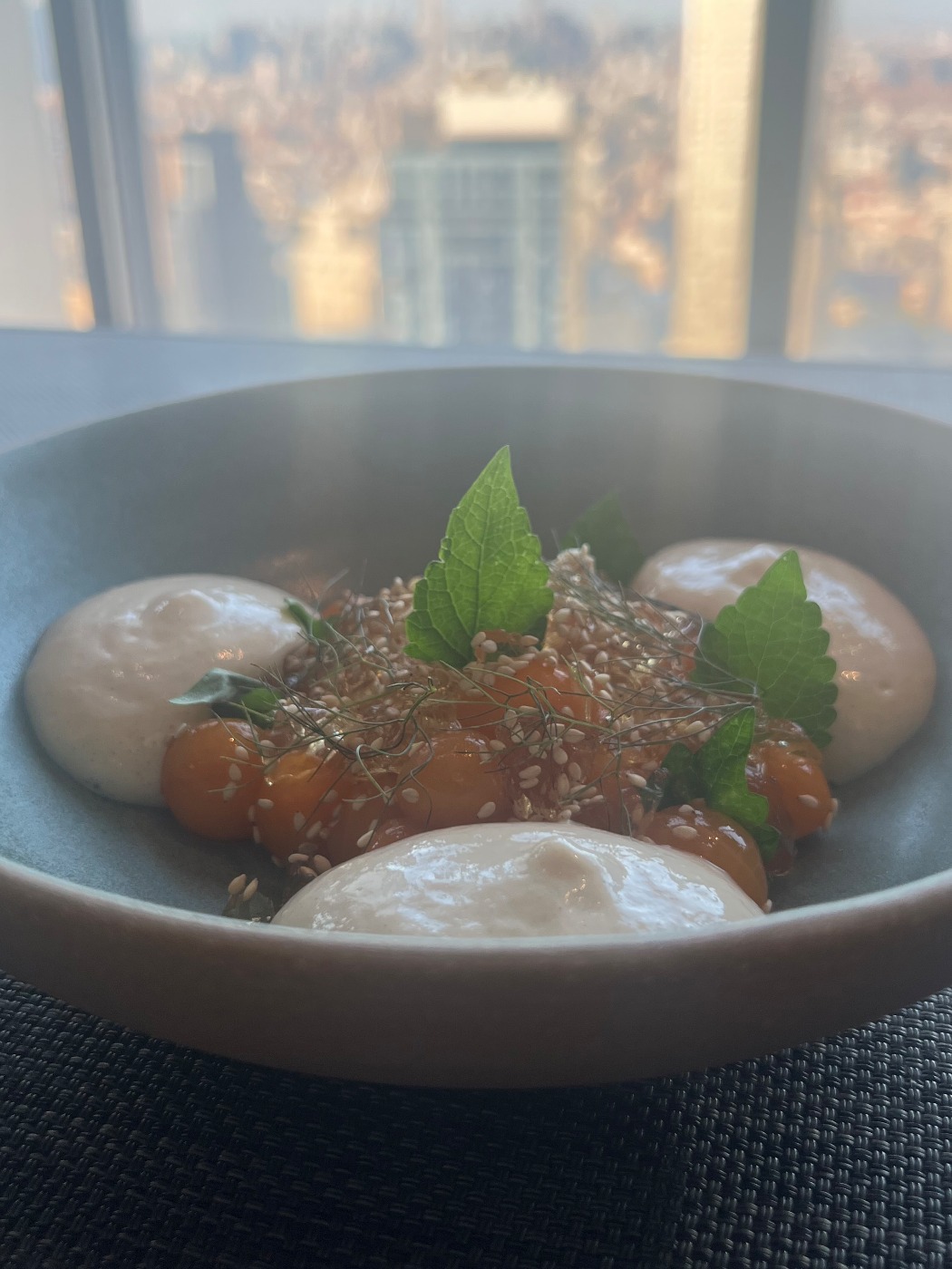 IMG_7754.jpeg IMG_7754.jpeg