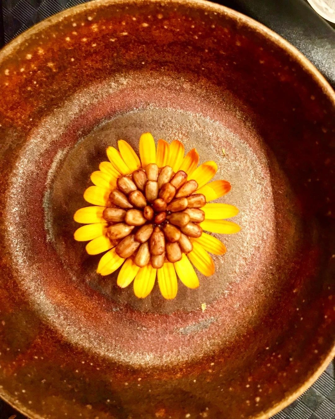 47306884_324731648256489_4581356406409863911_n.jpg 47306884_324731648256489_4581356406409863911_n.jpg