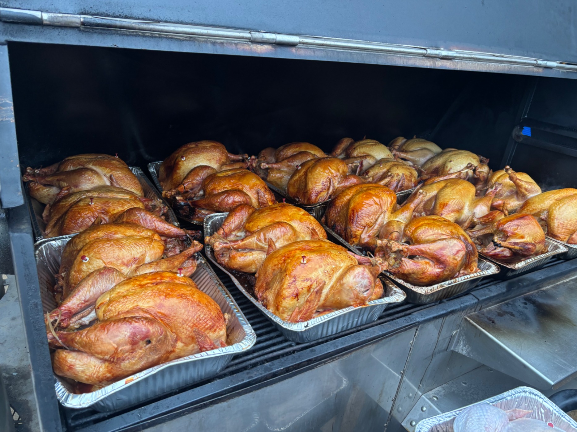 IMG_9689.jpeg IMG_9689.jpeg