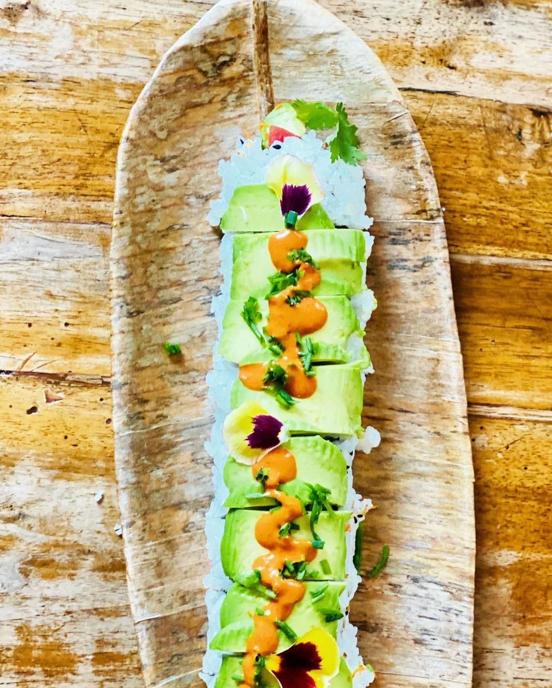 194975656_488332902378691_2739561827507546038_n.jpg 194975656_488332902378691_2739561827507546038_n.jpg