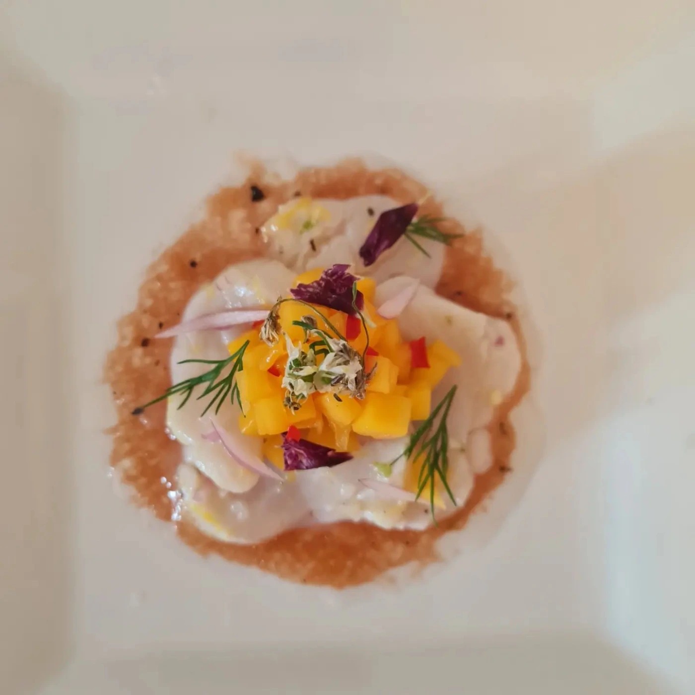 scallop carpacio in pomegranate vinaigrette with mango salsa.jpg