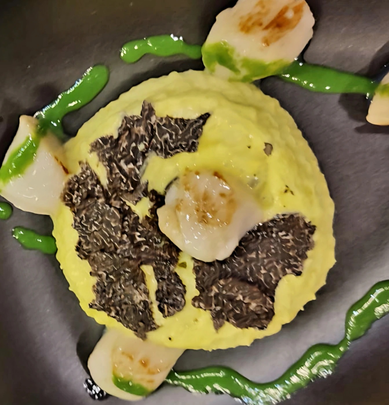 Photo Saint-Jacques 2.jpg Photo Saint-Jacques 2.jpg